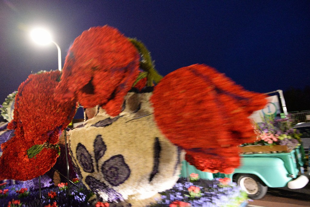 ../Images/Bloemencorso Noordwijkerhout 305.jpg